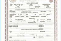 028 Template Ideas Free Birth Certificate Impressive In With Novelty Birth Certificate Template