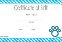 2Nd Cat Birth Certificate Template Free In 2020 | Birth Throughout Cute Birth Certificate Template