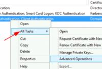 Active Directory Domain Controller Certificates Throughout Fantastic Domain Controller Certificate Template