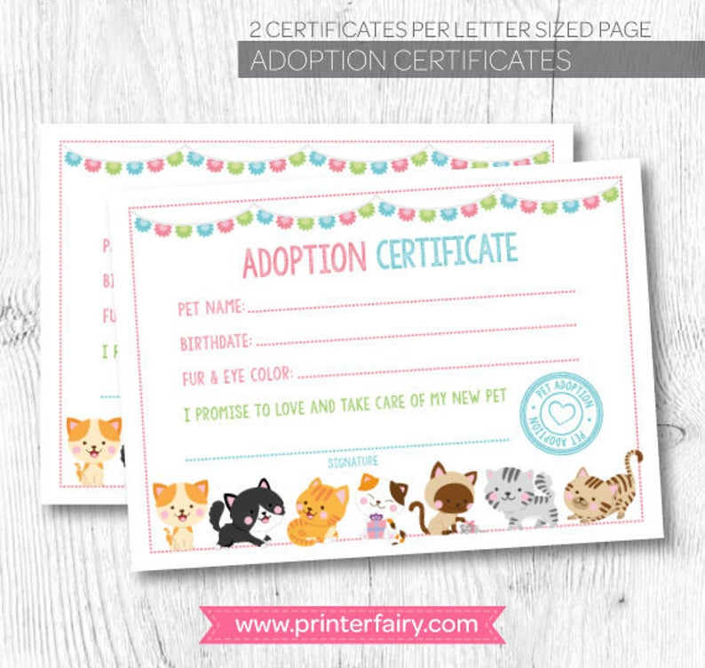 Cat Adoption Certificate Pet Adoption Party Kitty Adoption For Cat Adoption Certificate Templates