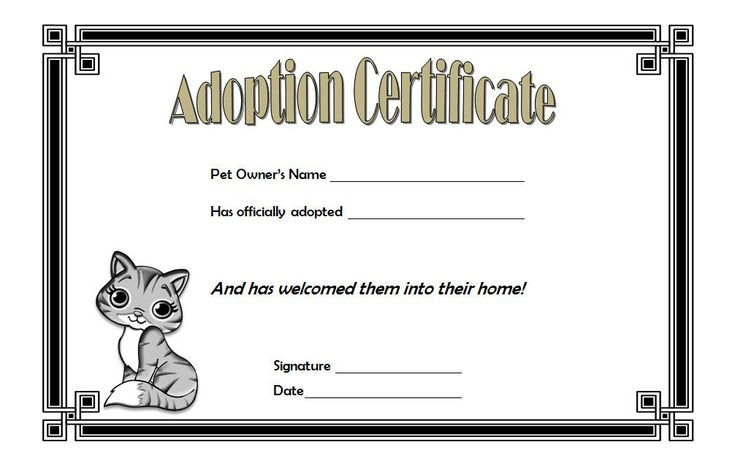 Cat Adoption Certificate Template Free 4 In 2020 Throughout Amazing Kitten Birth Certificate Template