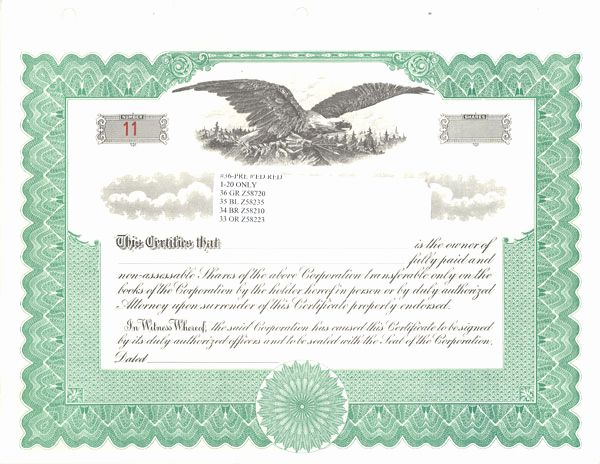Corporate Stock Certificate Template Word Fresh Blank With Regard To Blank Share Certificate Template Free
