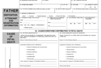 Death Report Template Fill Out And Sign Printable Pdf Pertaining To Amazing Blank Death Certificate Template 7 Documents