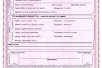 Get Our Free Mexican Marriage Certificate Translation Inside Mexican Birth Certificate Translation Template