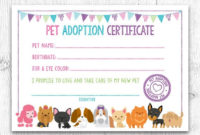 Pet Adoption Certificate, Pet Adoption Birthday Party Within Awesome Cat Birth Certificate Free Printable