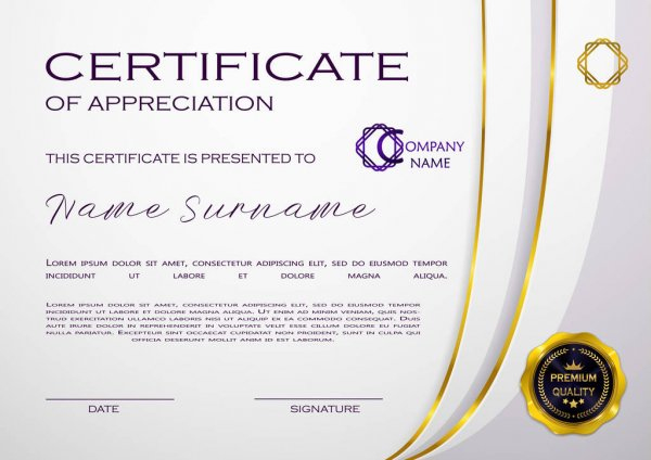 Qualification Certificate Appreciation Design Elegant With Amazing Qualification Certificate Template