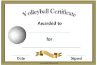 Volleyball Awards 1 (1040×720) | Certificate Templates Pertaining To Volleyball Award Certificate Template Free
