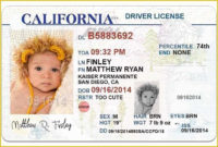 State Id Templates Download Free Of Free Florida Drivers within Blank Drivers License Template