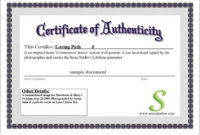 20+ Certificate Of Authenticity Templates Free Download Throughout Free Certificate Of Authenticity Free Template