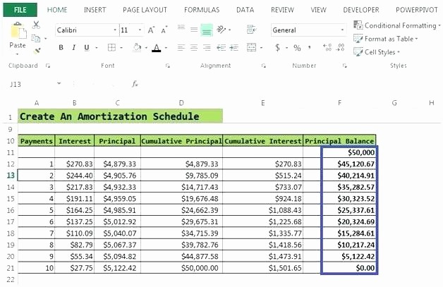 50 Amortization Chart With Extra Payments | Ufreeonline For Outside Sales Call Log Template