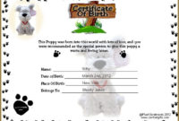 A2321Ee09440C34Cfa8Da58476056782 (736×561) | Birth Regarding Dog Birth Certificate Template Editable