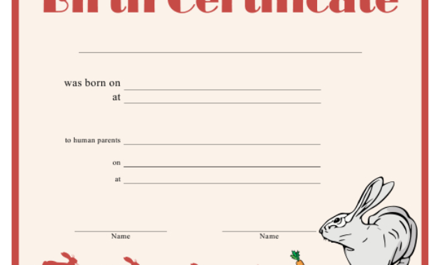 Birth Certificate Template For Rabbit Download Printable In Fresh Rabbit Adoption Certificate Template 6 Ideas Free