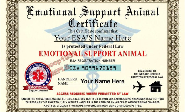 Emotional Support Dog Certificate Template | Williamson Ga Regarding Service Dog Certificate Template Free 7 Designs