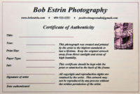 Photography Certificate Of Authenticity Template Best Within Photography Certificate Of Authenticity Template