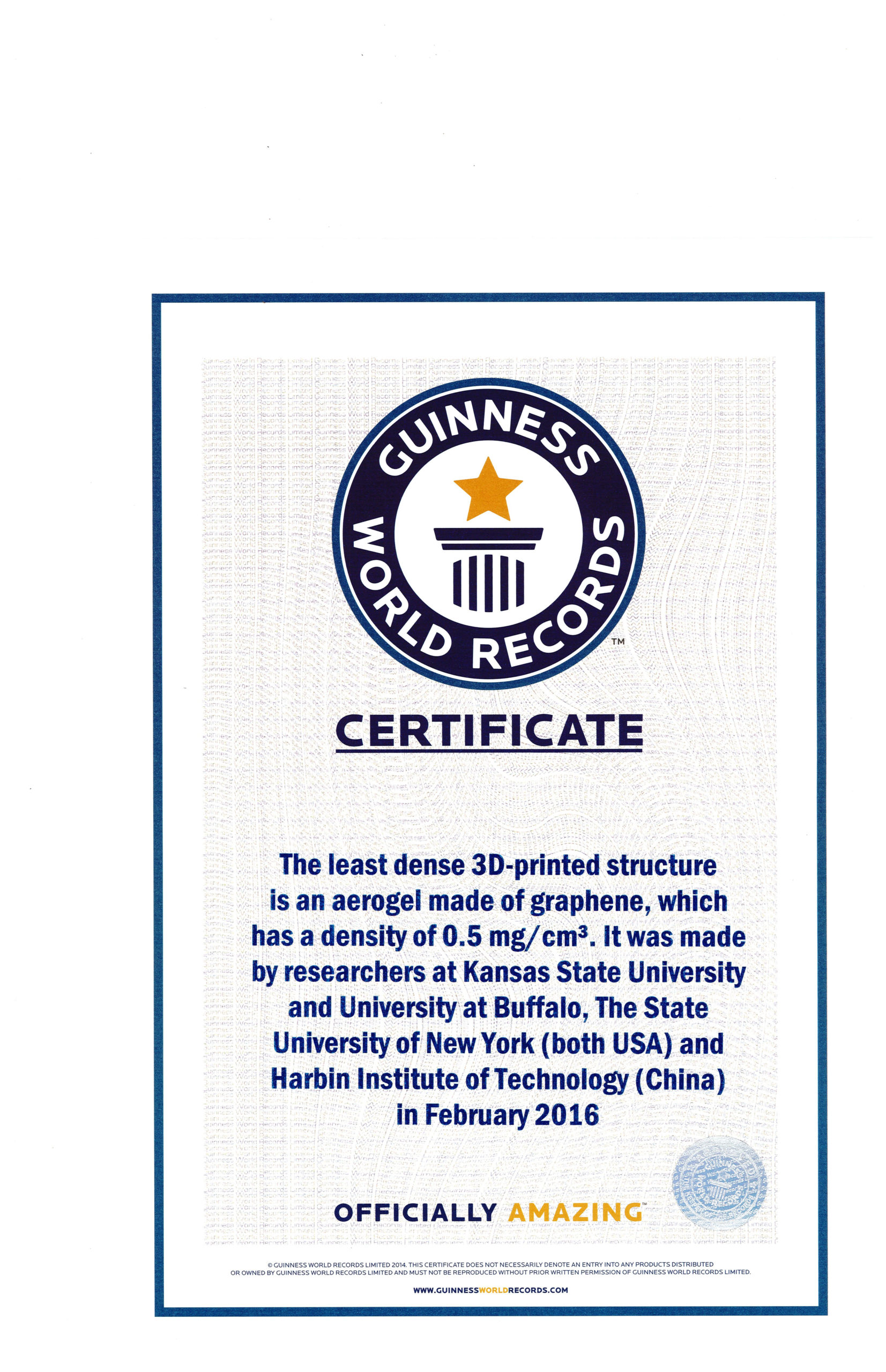 Record Holder: Guinness World Records ™ Names Engineers With Guinness World Record Certificate Template