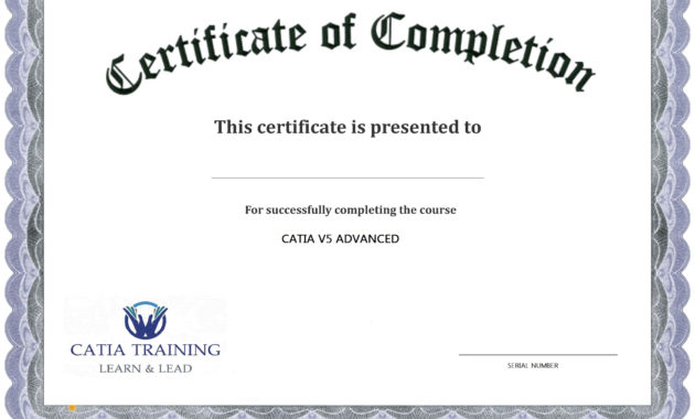 Sample Course Completion Blank Excellence Certificate Of Inside Free Training Completion Certificate Templates
