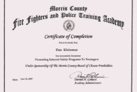 Training Certificate Format Doc Planner Template Free Intended For Training Course Certificate Templates