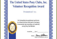Volunteer Award Certificate Template Template : Resume Throughout Awesome Volunteer Award Certificate Template