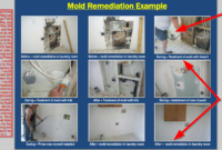 Mold Remediation | Foreclosurepedia In Mold Remediation Estimate Template