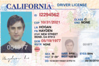 Blank Drivers License Template inside Blank Drivers License Template