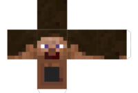 [Download 27+] Minecraft Steve Meme Template with Minecraft Blank Skin Template