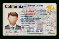 Drivers License Psd Template – Buy Fake Id Photoshop with regard to Blank Drivers License Template