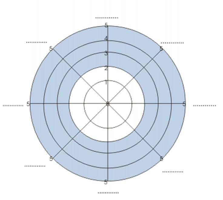 Wheel Of Life Template Blank In Blank Performance Profile regarding Wheel Of Life Template Blank